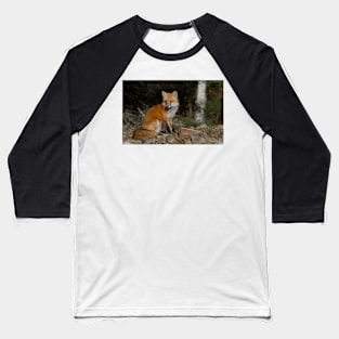 Red Fox - Algonquin Park, Canada Baseball T-Shirt